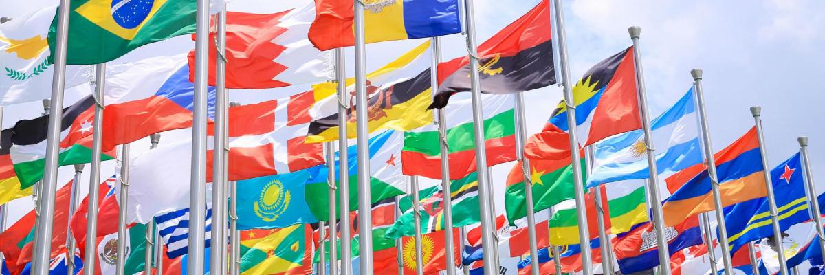 Study International Relations in Poland