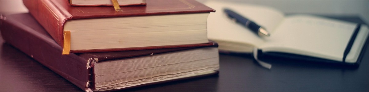 Study Pedagogy in Poland