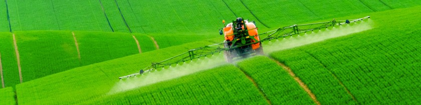 Study Agriculture in Poland