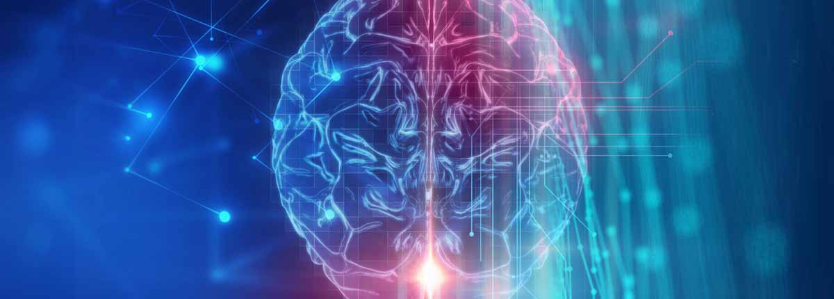 Study Cognitive Science in Poland